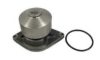 DAF 1399689 Water Pump